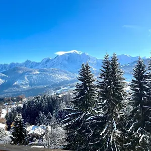 Large Apt 80m Superb View Mont-blanc 6p Appartement